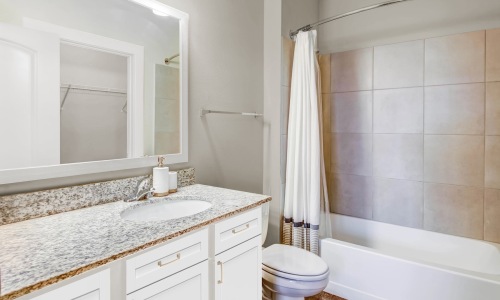 a bathroom with a shower and a mirror